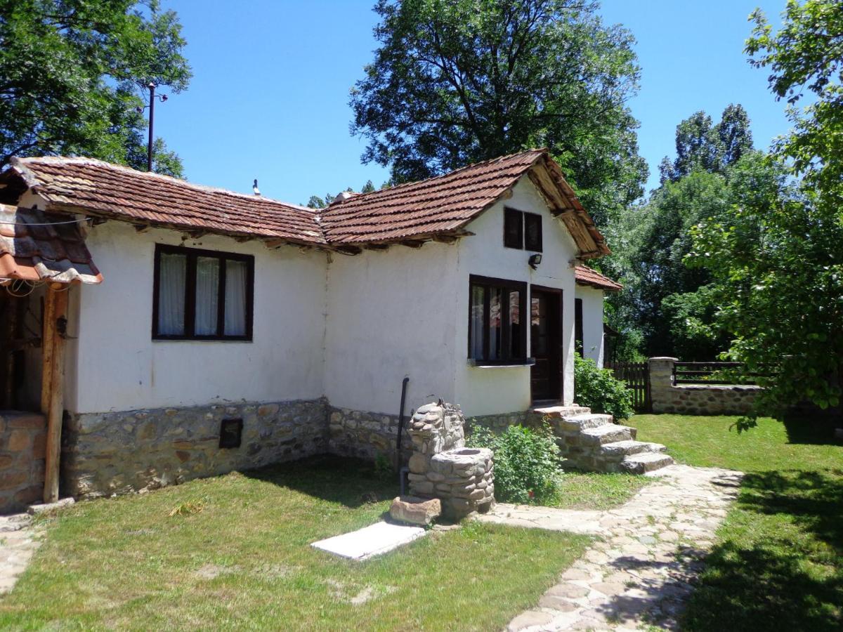 Villa Etno Kuca Nikolov Dimitrovgrad Exterior foto