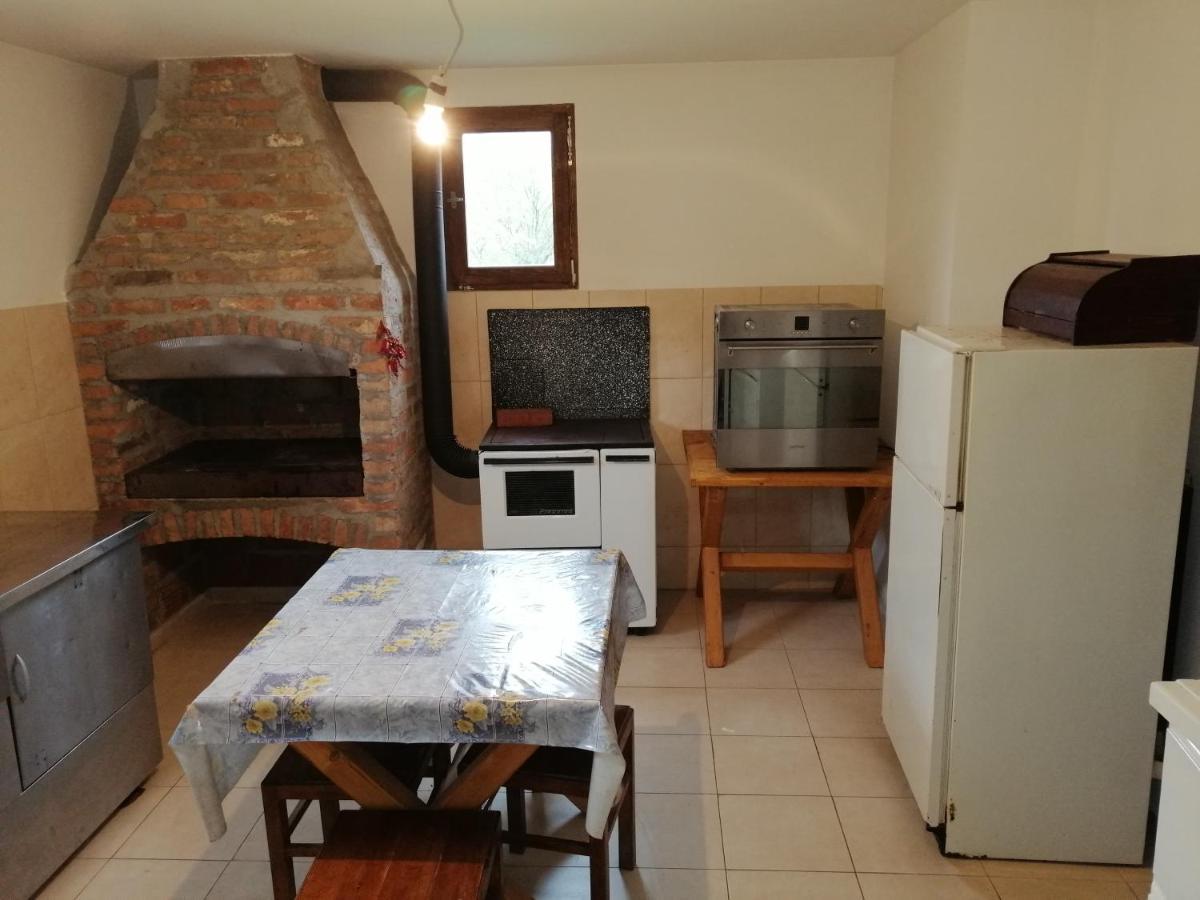 Villa Etno Kuca Nikolov Dimitrovgrad Exterior foto